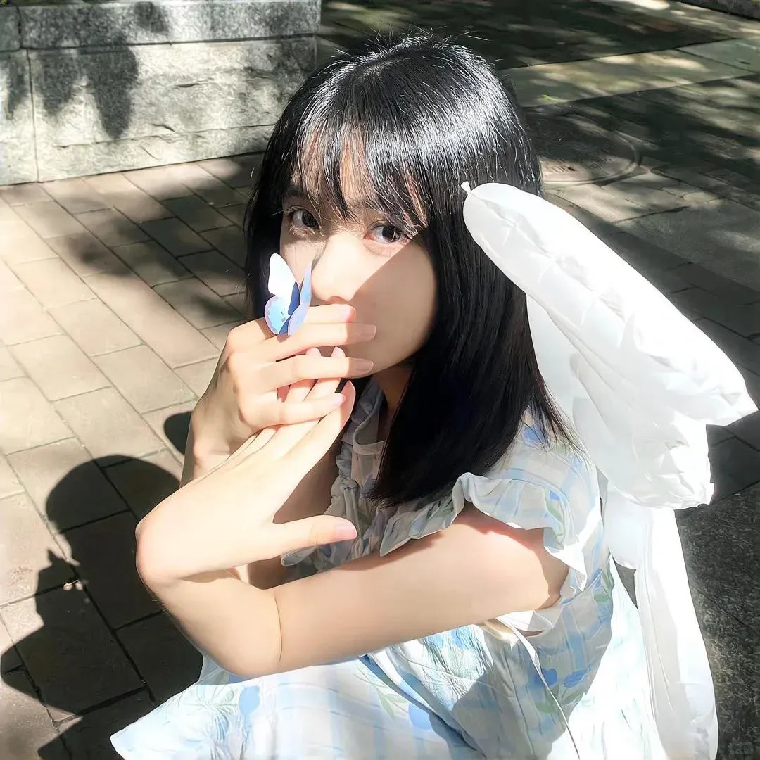 蒂科与鲨鱼
